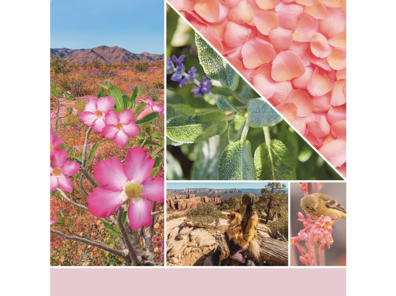 41796-desertblooms_ - kopie